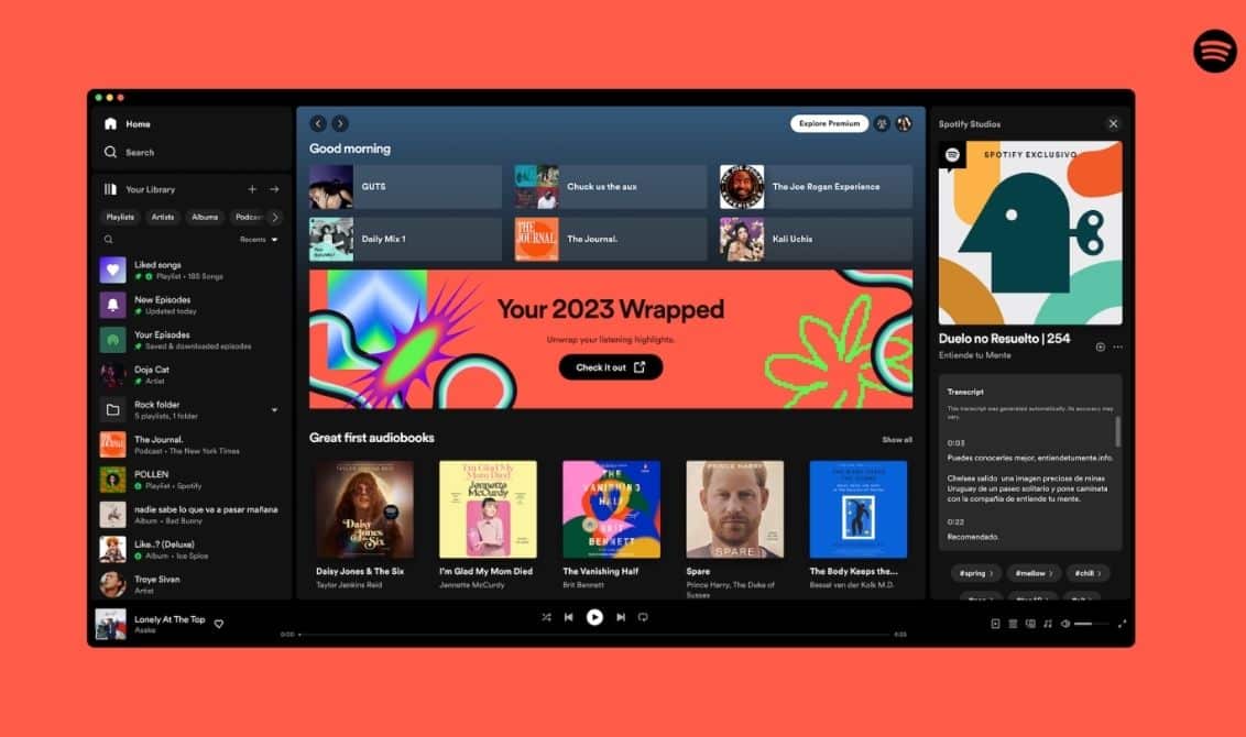 spotify özeti