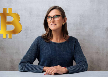 Ark Invest CEO'su Bitcoin rallisi hakkında konuştu!