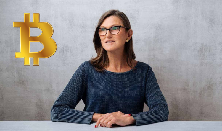 Ark Invest CEO'su Bitcoin rallisi hakkında konuştu!