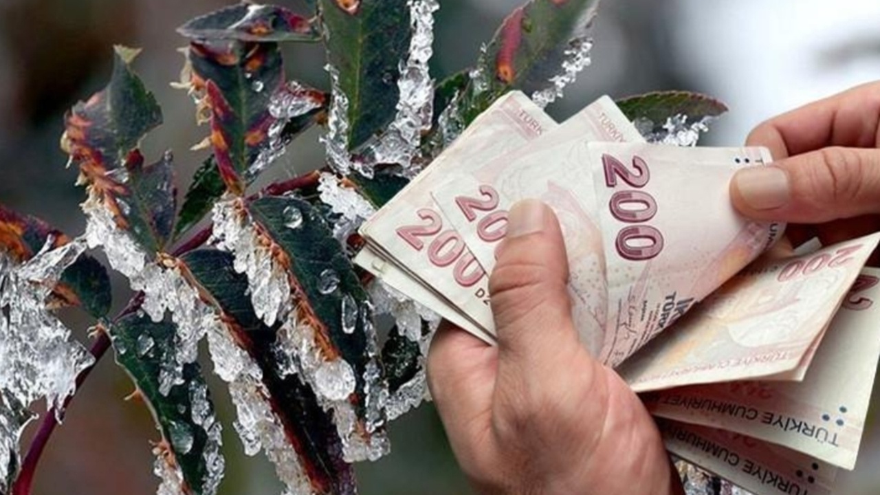 Bakan Yumaklı duyurdu! Çiftçiye dev zirai don desteği